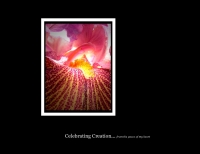 Celebrating Creation