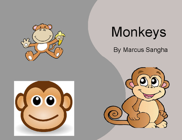 Monkeys