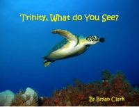 Trinity, What Do You See?