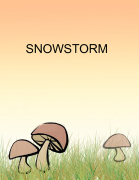 Snow storm