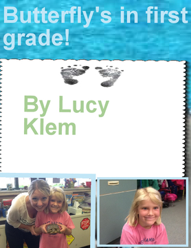 Butterfly in first grade