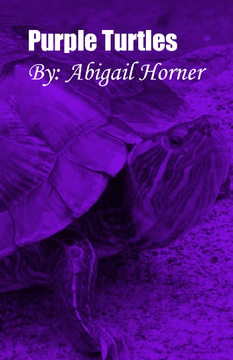 Purple Turtles