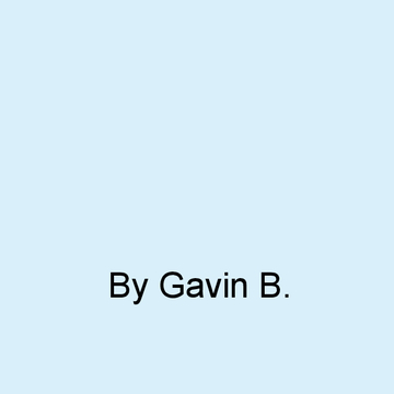Gavin B.