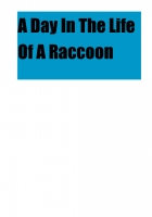 A Day In The Life Of A Raccoon