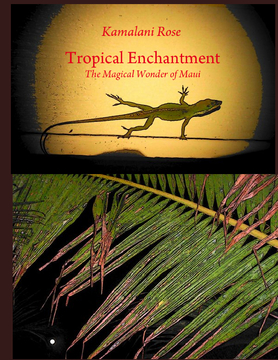 Tropical Enchantment