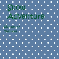 Snow Adventure