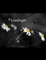 Goodnight