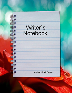 Writers Notebook