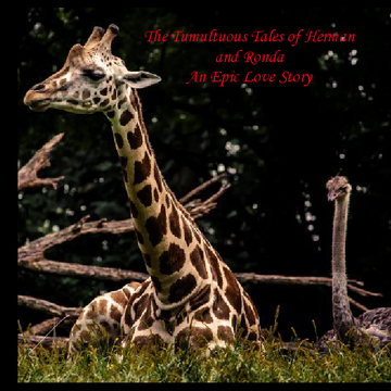 The Tumultuous Tales of Herman and Ronda