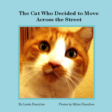 The Cat Who Decided to Move Across the Street