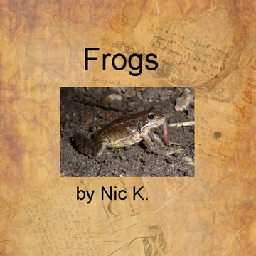 Nic K.