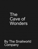 The Cave of Wonders
