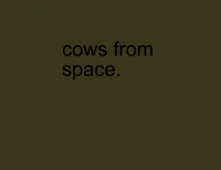cows
