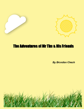The Adventures of Mr Tim & His Friends