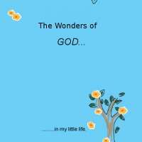 The Wonders of God in my little life