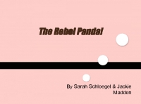 The Rebel Panda