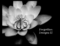 Forgotten Images II