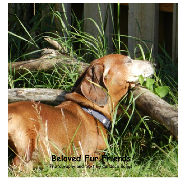 Beloved Fur Friends