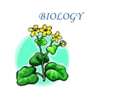BIOLOGY