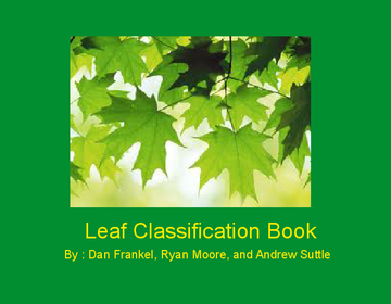 Types of Leaves