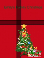 Emily's Christmas Day
