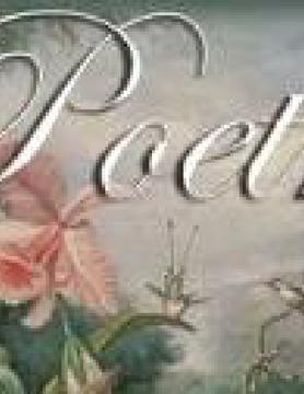 Poetry book