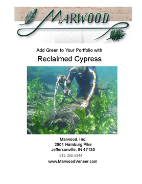 Sinker Cypress