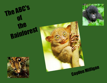 The ABC's of the Rainforest