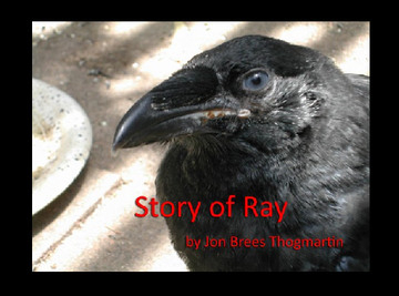Story of Ray