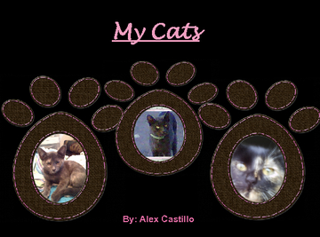 My Cats