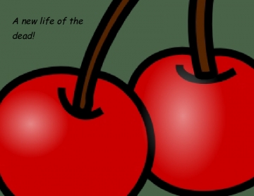 New Life of the dead