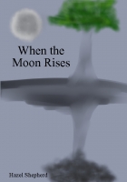 When The Moon Rises