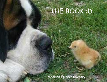 THE BOOK