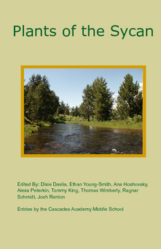 Plants of the Sycan River