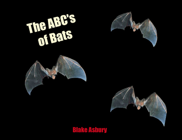 ABC's of Bats