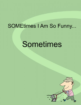 SOMEtimes I Am So Funny