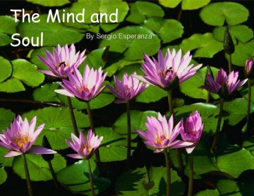 The Mind and Soul