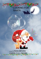 looking for santa