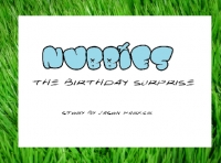 Nubbies: Birthday Surprise