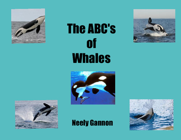The ABC's OF Whales