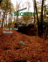 summer Secrets Lost In The Woods