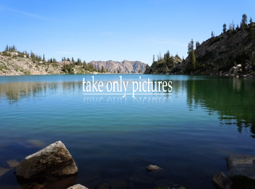 Take Only Pictures