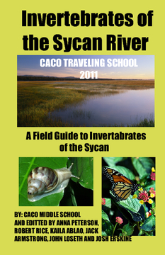 Invertebrates of the Sycan River