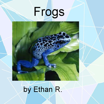 Ethan R.