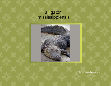 alligator book