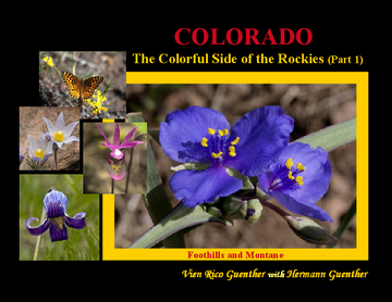 Colorado: The Colorful Side of the Rockies (Part 1)