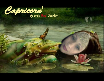'Capricorn'