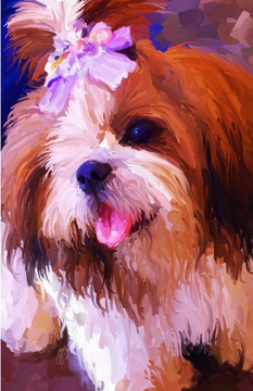 Shih Tzu Personal Journal
