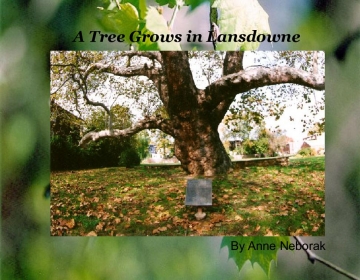 A Tree Grows in Lansdowne