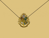 Hogwarts School of Witchcraft and Wizardy